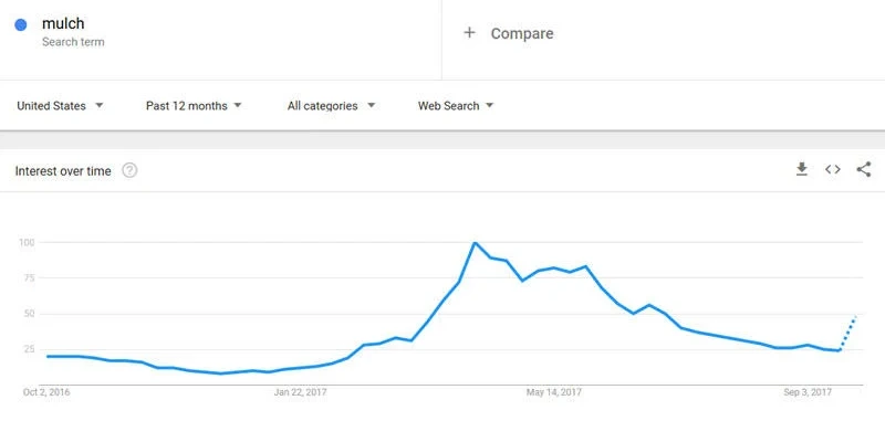 Lượt tìm kiếm và truy cập tại Google Trends không ngừng tăng